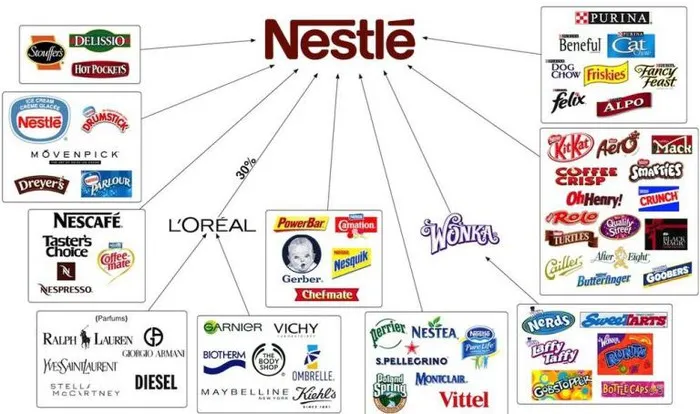 Tìm hiểu lịch sử và hồ sơ thương hiệu Nestlé – Hành trình vươn tầm từ Thụy Sĩ 2 Vị thế thị trường và hồ sơ năng lực của Nestlé