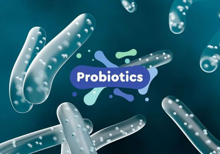 Sữa NAN là gì? Giải mã lý do vì sao NAN là dòng "sữa mát" hàng đầu cho bé 2 Hệ lợi khuẩn (Probiotics): Sự góp mặt của Bifidobacterium (BL) giúp cân bằng hệ vi sinh đường ruột
